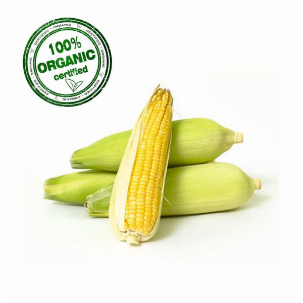 Organic American Corn