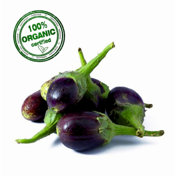Organic Brinjal Small (Ravaiya)