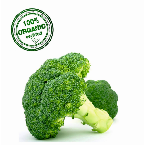 Organic Broccoli