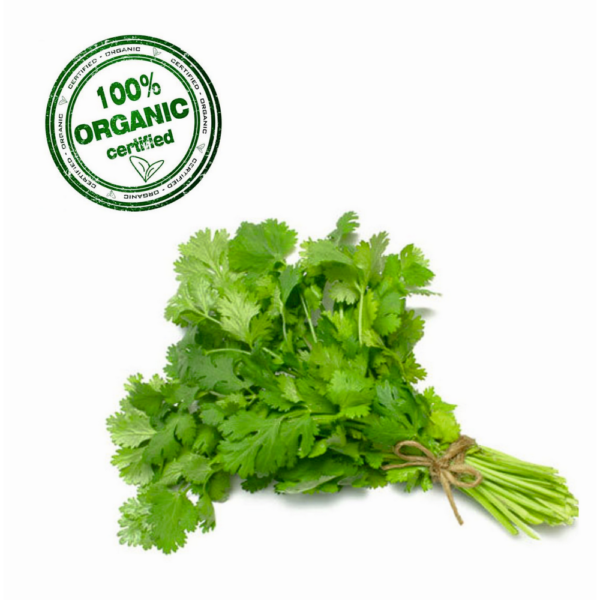 Organic Coriander Leaves (Kothmir)