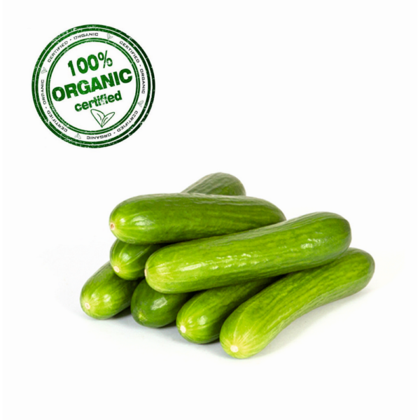 Organic Cucumber (Kakdi)