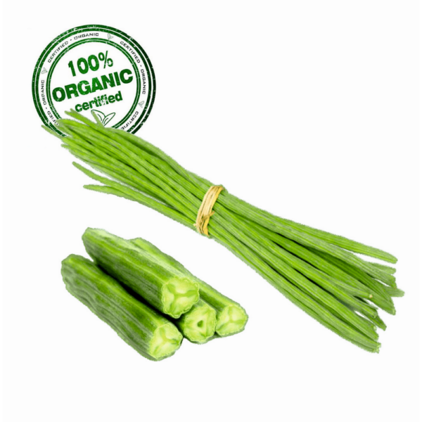 Organic Drumstick (Saragvo)