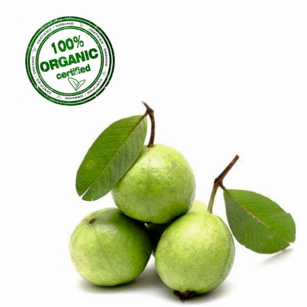 Organic Guava (Jamfad)