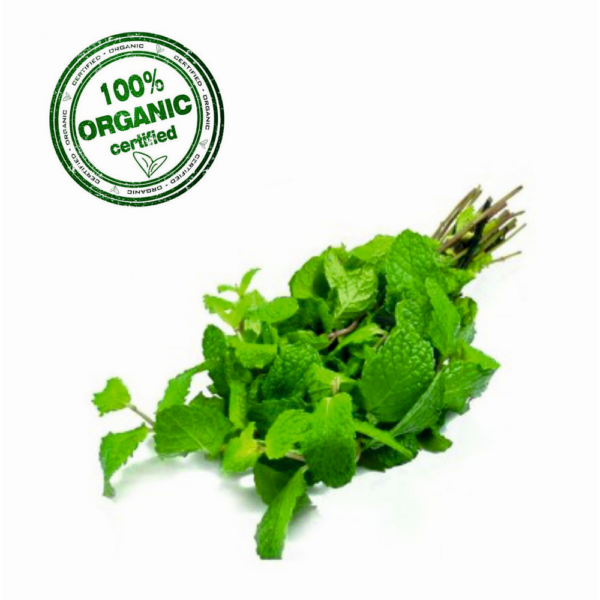 Organic Mint Leaves (Pudina)