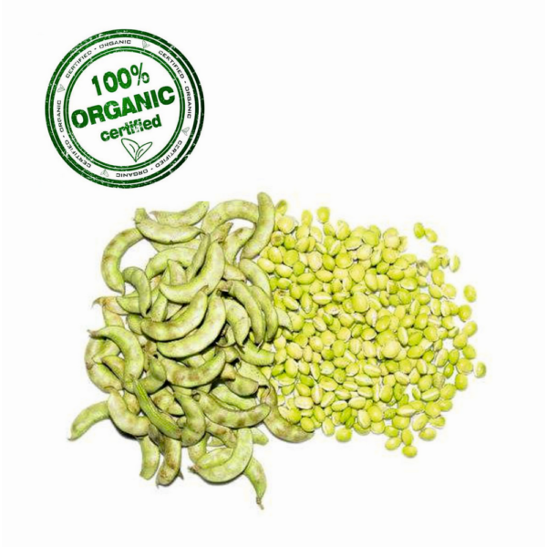 Organic Surti Beans (Surti Papli)
